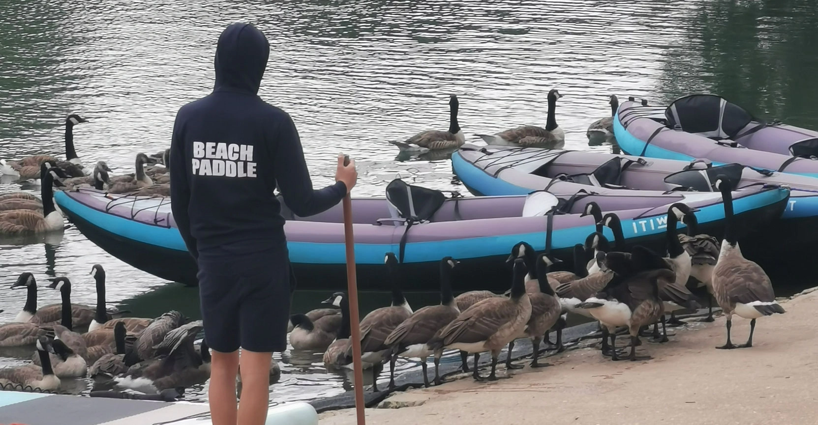 Oies et kayaks sur la Marne — nature et activités nautiques